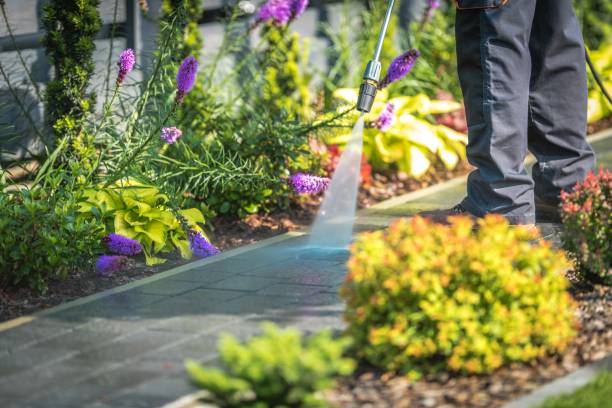 Best Restaurant Pressure Washing  in Siesta Key, FL